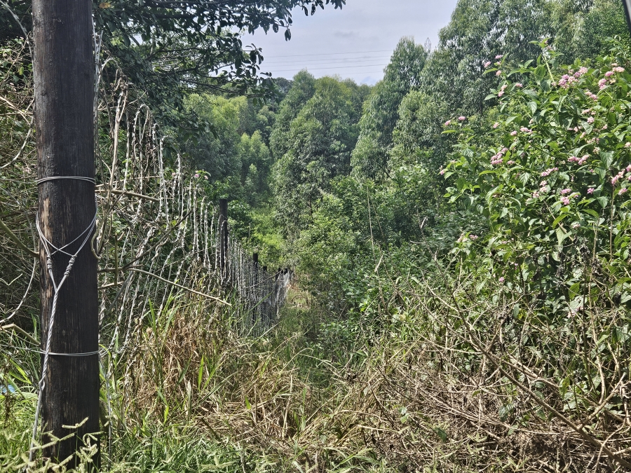 0 Bedroom Property for Sale in Clansthal KwaZulu-Natal