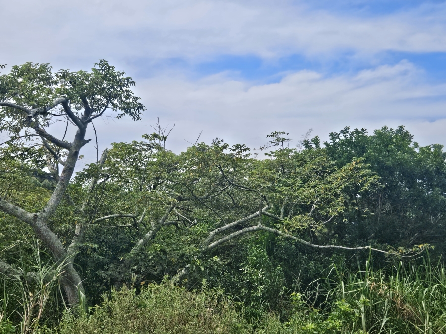 0 Bedroom Property for Sale in Clansthal KwaZulu-Natal