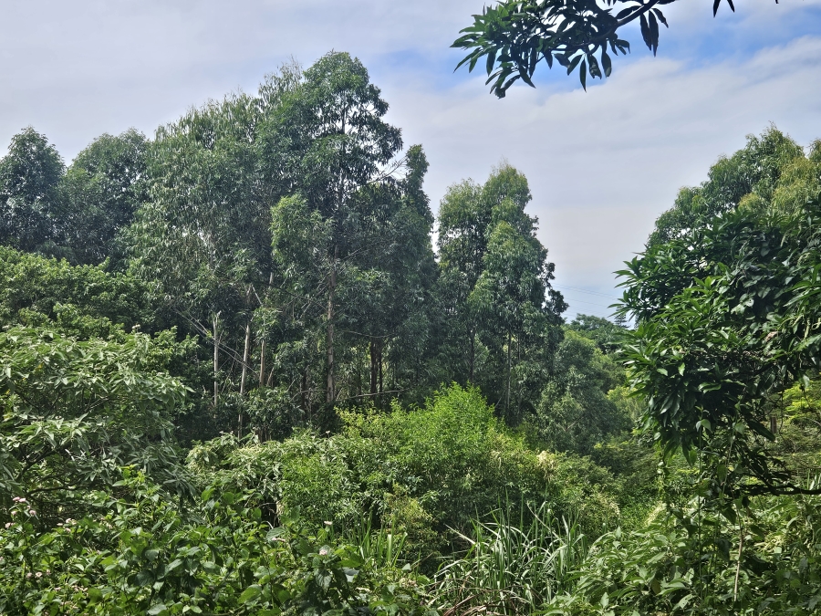 0 Bedroom Property for Sale in Clansthal KwaZulu-Natal