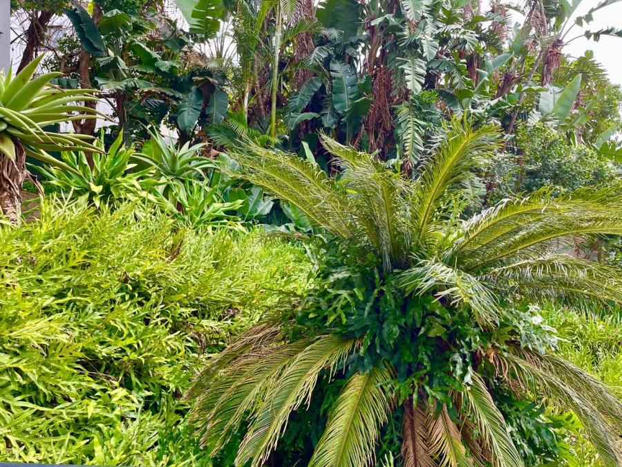 2 Bedroom Property for Sale in Ballito Central KwaZulu-Natal