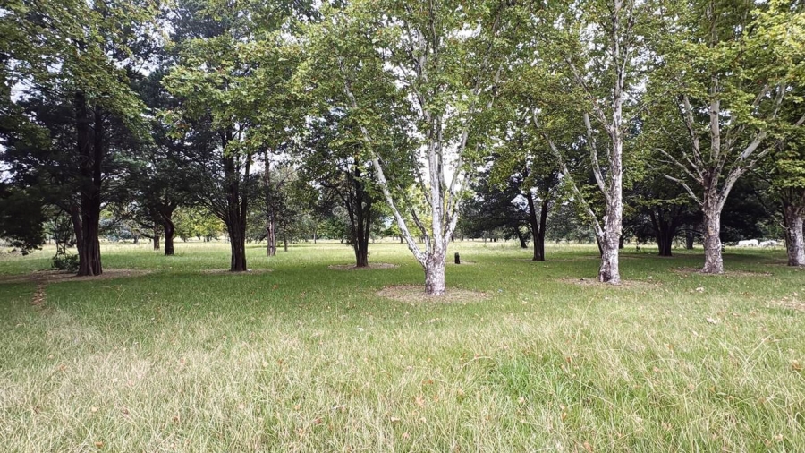 0 Bedroom Property for Sale in Kilbarchan KwaZulu-Natal