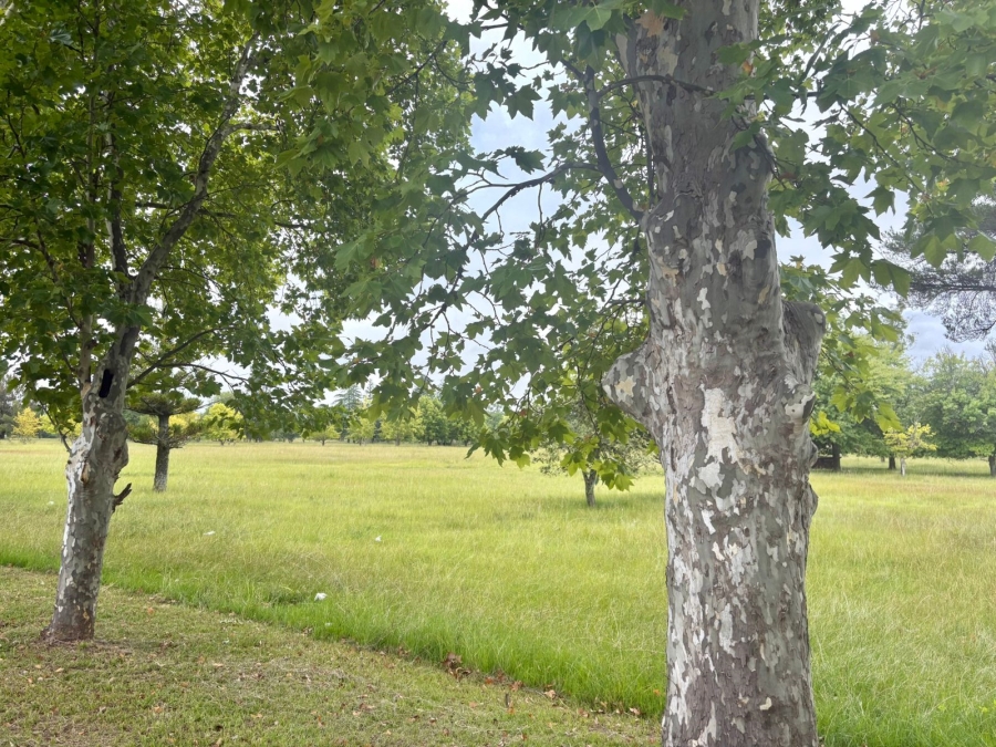 0 Bedroom Property for Sale in Kilbarchan KwaZulu-Natal