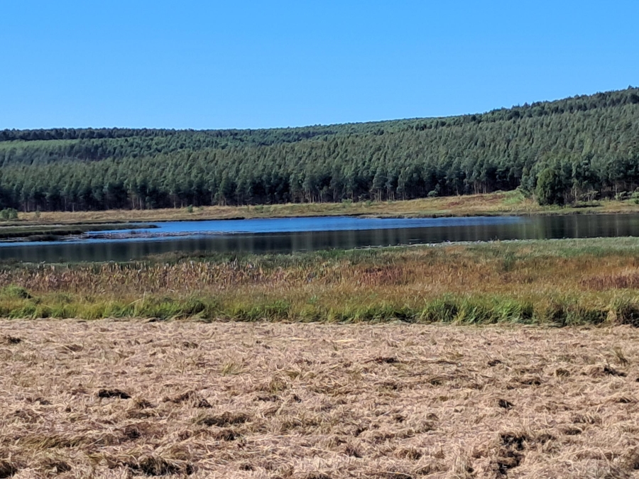0 Bedroom Property for Sale in Cramond KwaZulu-Natal