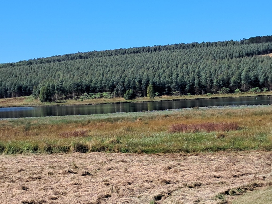 0 Bedroom Property for Sale in Cramond KwaZulu-Natal