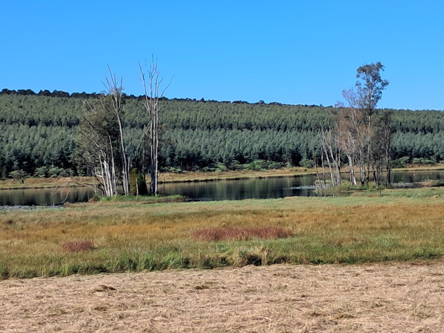 0 Bedroom Property for Sale in Cramond KwaZulu-Natal