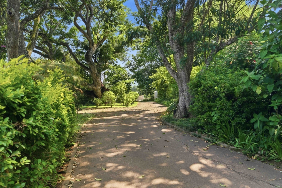 Commercial Property for Sale in Hillcrest Central KwaZulu-Natal