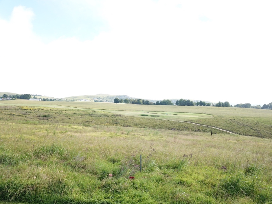 0 Bedroom Property for Sale in Gowrie Golf Estate KwaZulu-Natal