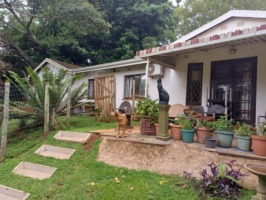 To Let 4 Bedroom Property for Rent in Forest Hills KwaZulu-Natal