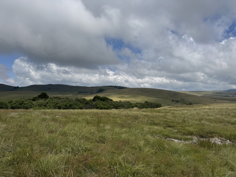 0 Bedroom Property for Sale in Dargle KwaZulu-Natal