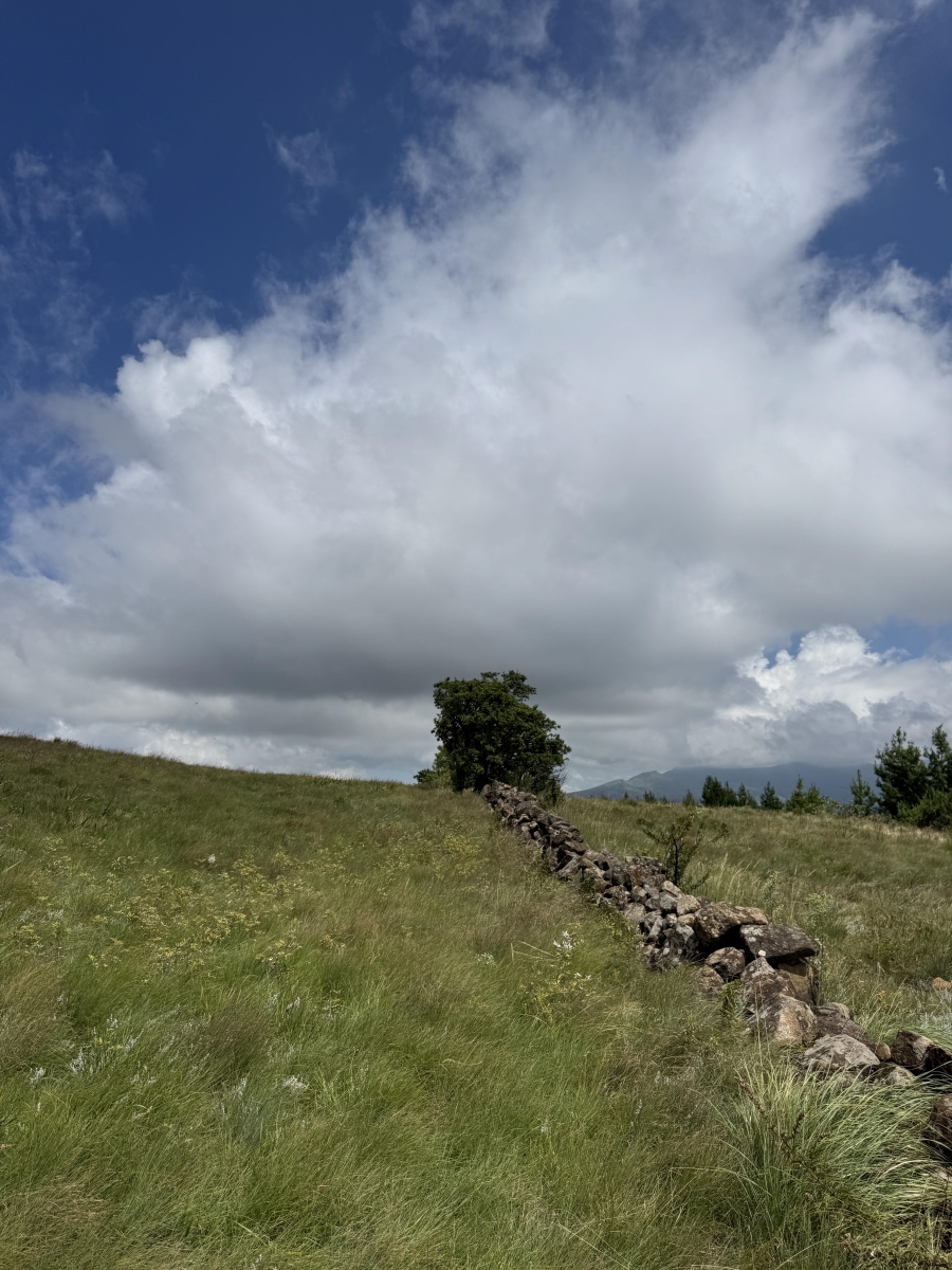 0 Bedroom Property for Sale in Dargle KwaZulu-Natal