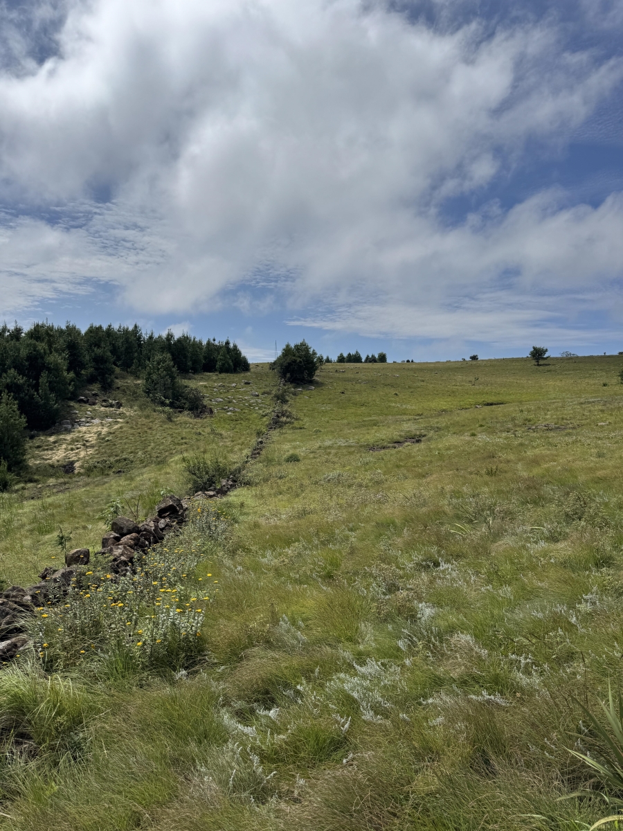 0 Bedroom Property for Sale in Dargle KwaZulu-Natal