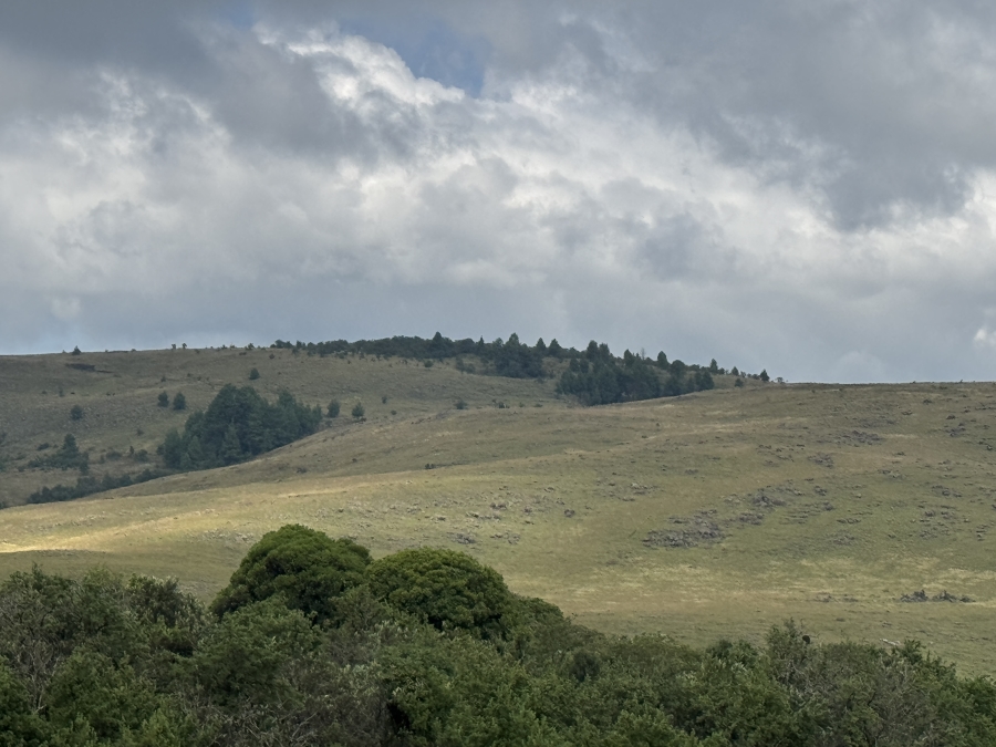 0 Bedroom Property for Sale in Dargle KwaZulu-Natal