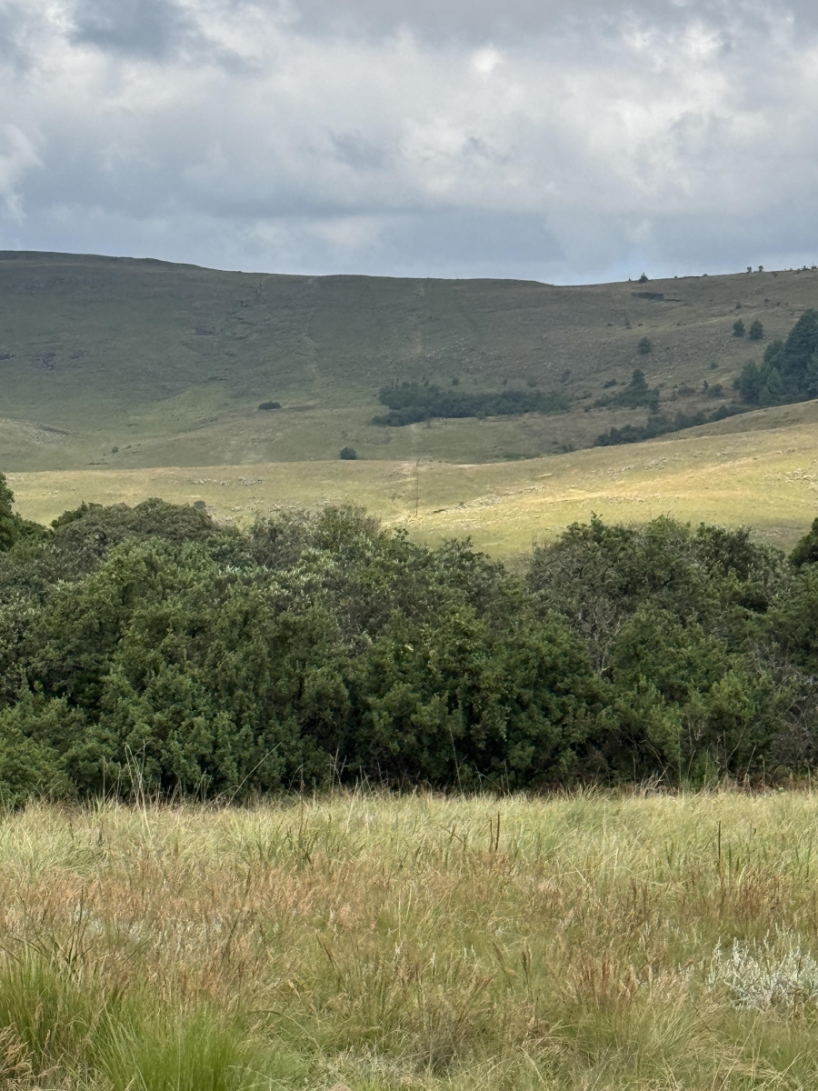 0 Bedroom Property for Sale in Dargle KwaZulu-Natal