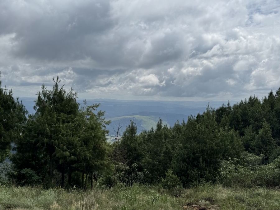 0 Bedroom Property for Sale in Dargle KwaZulu-Natal