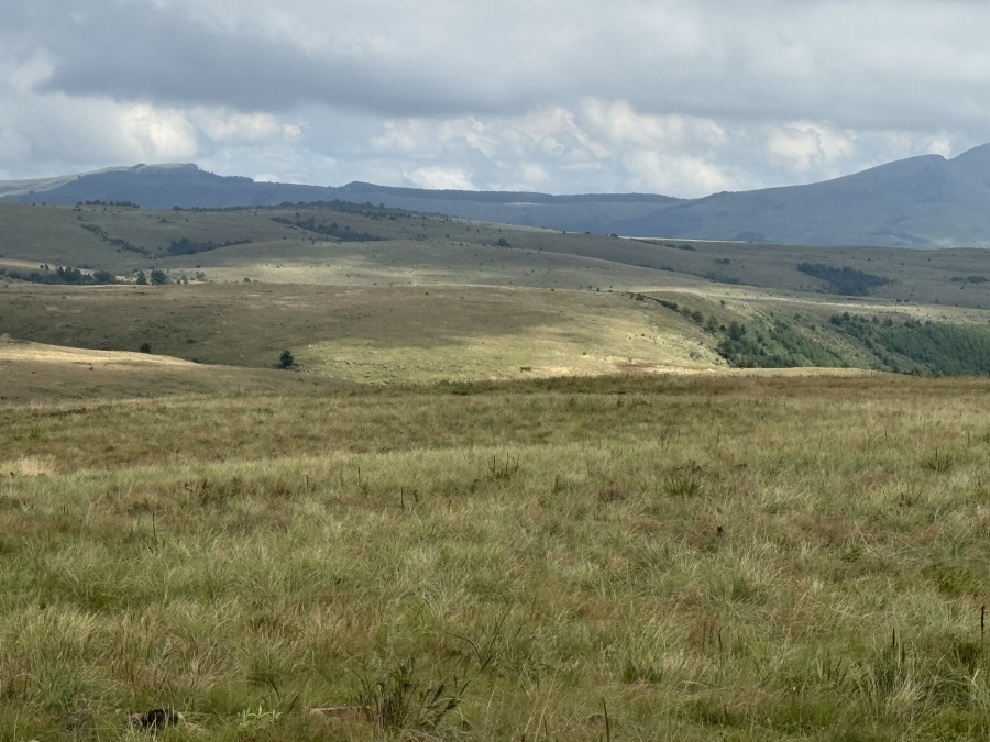 0 Bedroom Property for Sale in Dargle KwaZulu-Natal