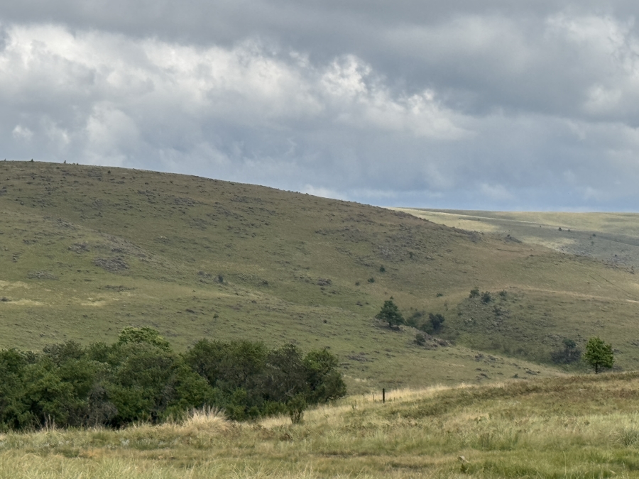 0 Bedroom Property for Sale in Dargle KwaZulu-Natal