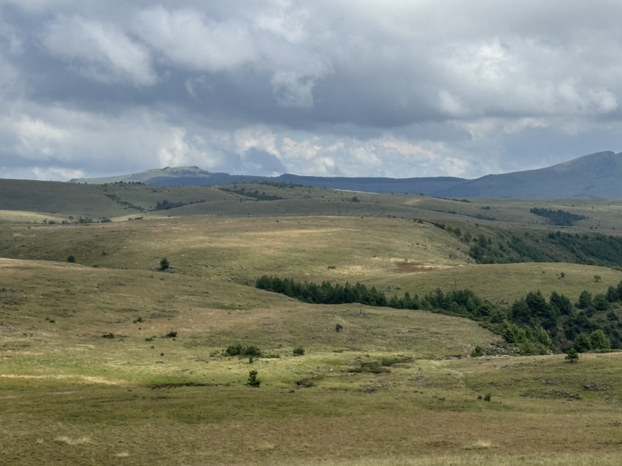 0 Bedroom Property for Sale in Dargle KwaZulu-Natal