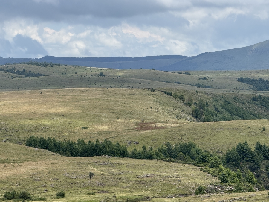 0 Bedroom Property for Sale in Dargle KwaZulu-Natal