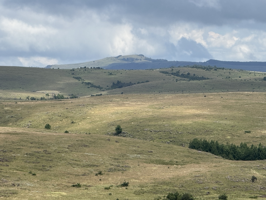 0 Bedroom Property for Sale in Dargle KwaZulu-Natal