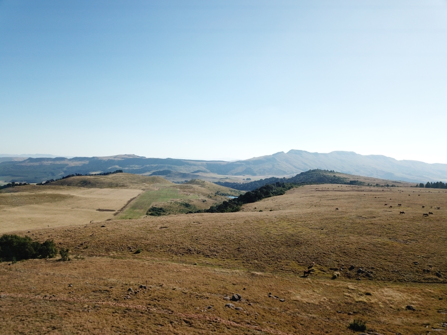 0 Bedroom Property for Sale in Dargle KwaZulu-Natal