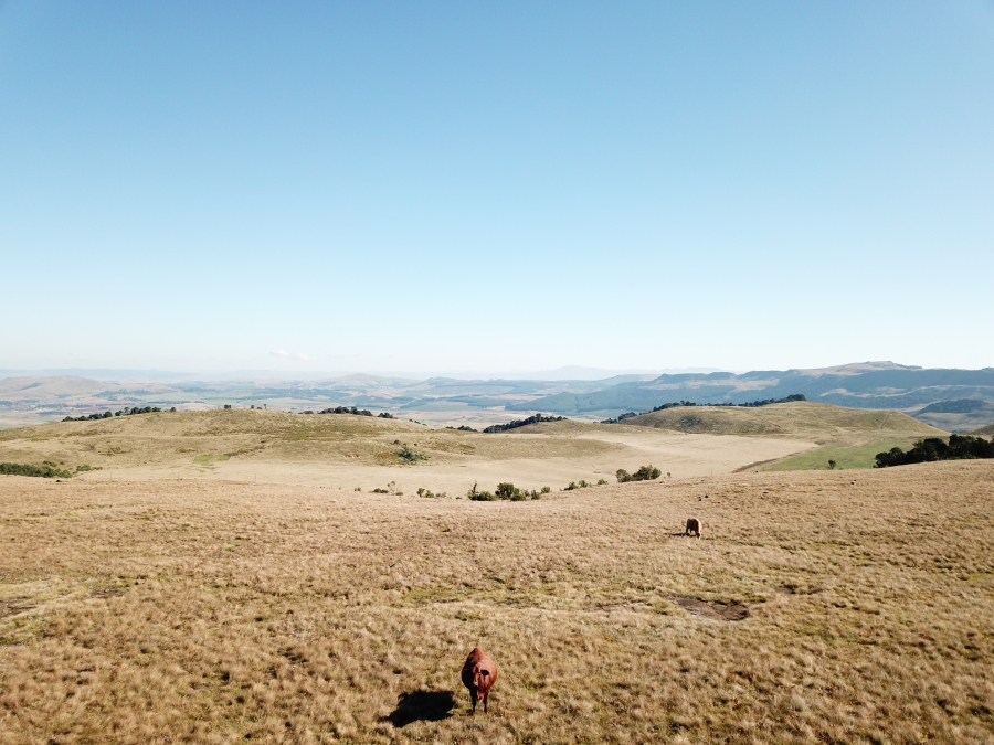 0 Bedroom Property for Sale in Dargle KwaZulu-Natal