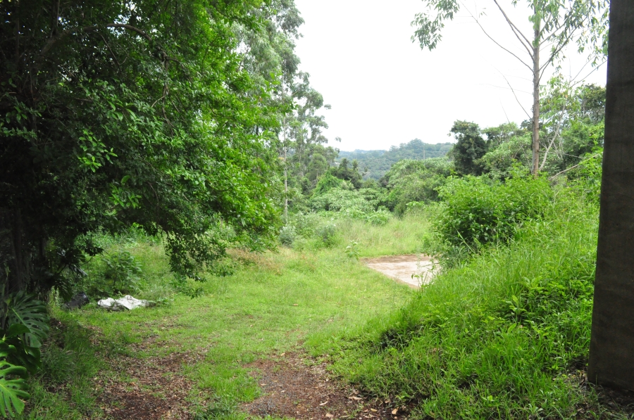 0 Bedroom Property for Sale in Forest Hills KwaZulu-Natal