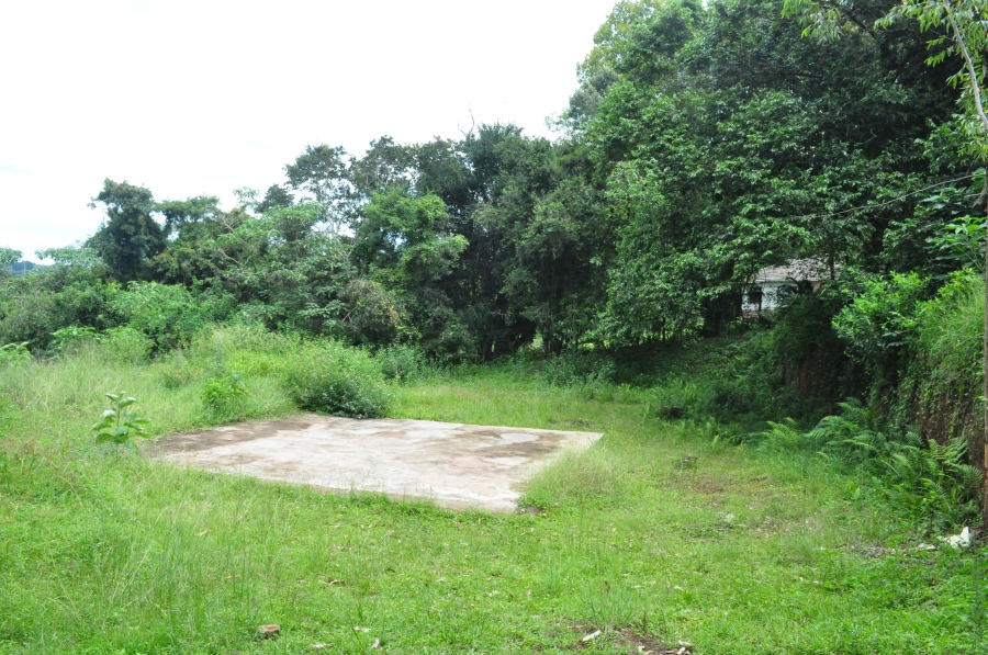 0 Bedroom Property for Sale in Forest Hills KwaZulu-Natal