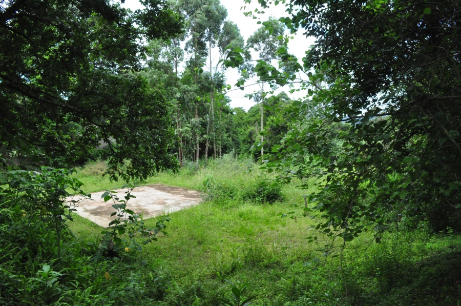 0 Bedroom Property for Sale in Forest Hills KwaZulu-Natal