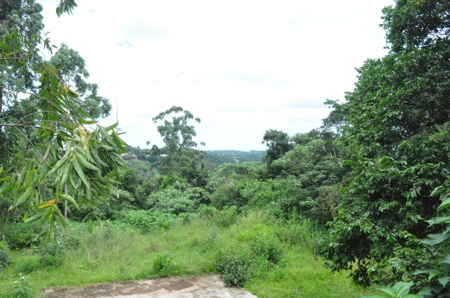 0 Bedroom Property for Sale in Forest Hills KwaZulu-Natal