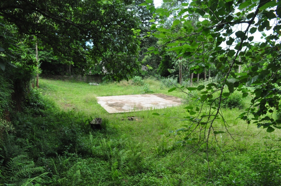 0 Bedroom Property for Sale in Forest Hills KwaZulu-Natal