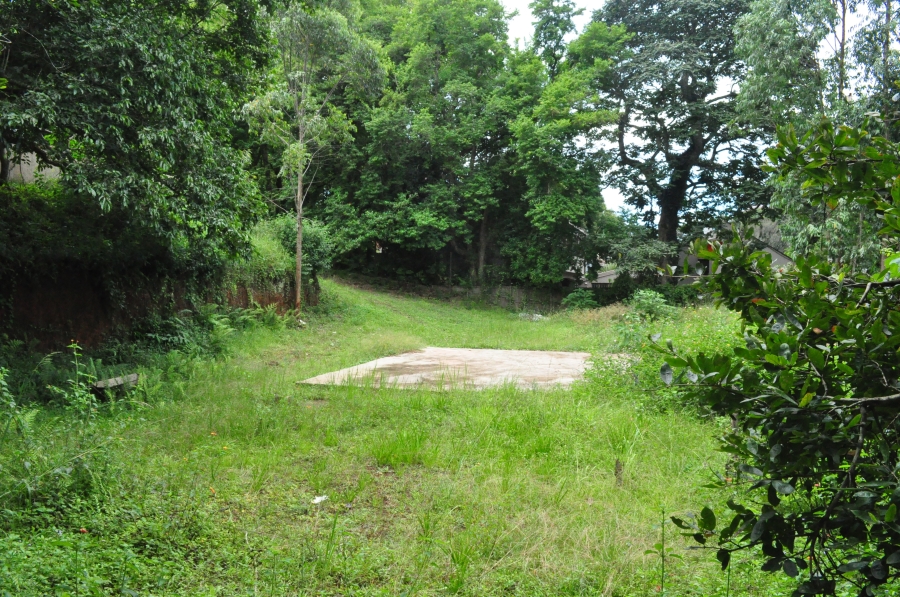 0 Bedroom Property for Sale in Forest Hills KwaZulu-Natal