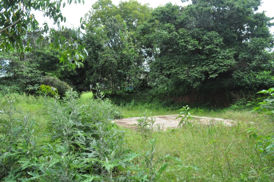 0 Bedroom Property for Sale in Forest Hills KwaZulu-Natal