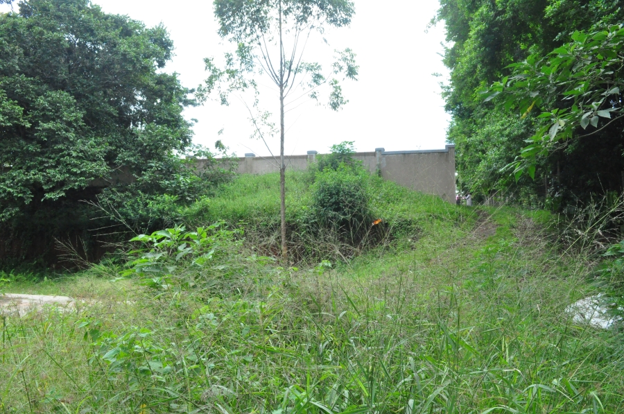 0 Bedroom Property for Sale in Forest Hills KwaZulu-Natal