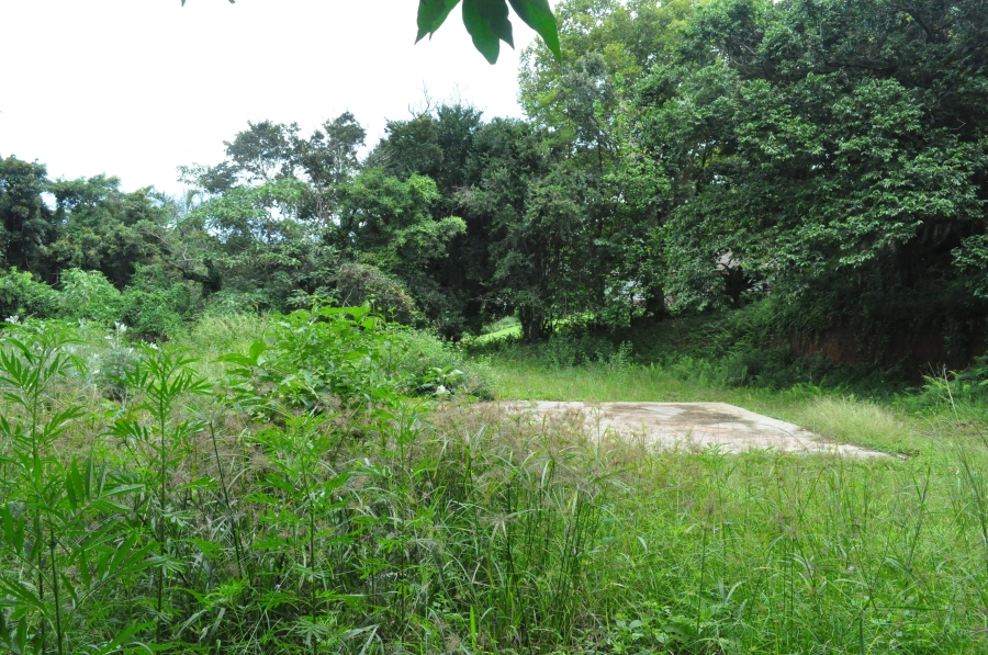 0 Bedroom Property for Sale in Forest Hills KwaZulu-Natal