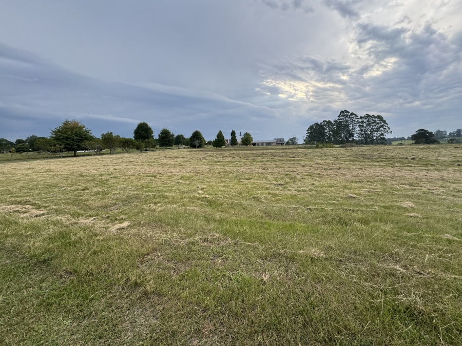 0 Bedroom Property for Sale in Merrivale KwaZulu-Natal