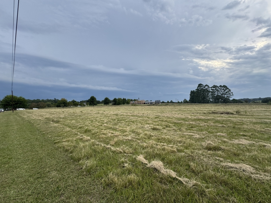 0 Bedroom Property for Sale in Merrivale KwaZulu-Natal