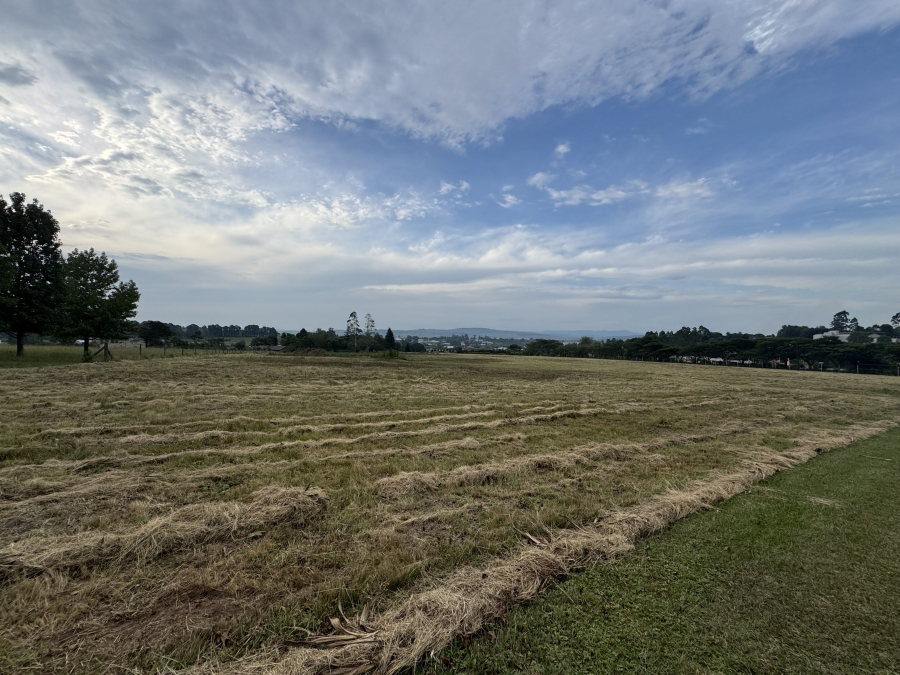 0 Bedroom Property for Sale in Merrivale KwaZulu-Natal