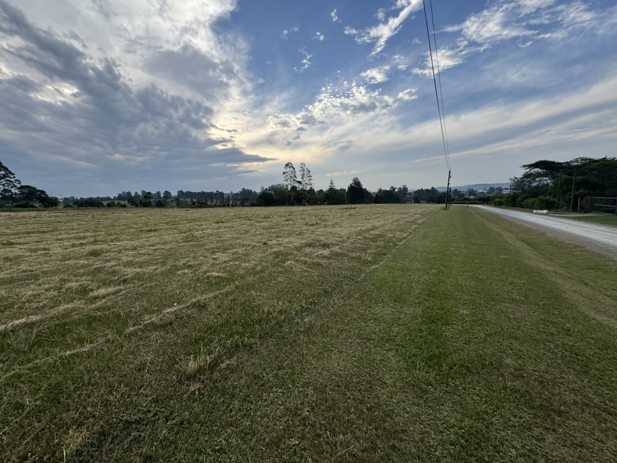 0 Bedroom Property for Sale in Merrivale KwaZulu-Natal