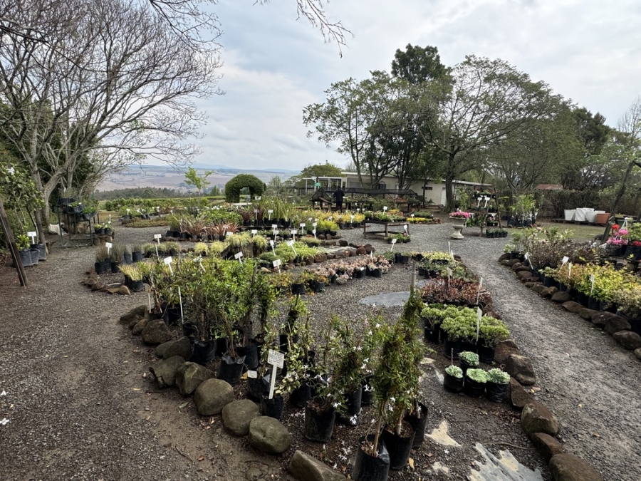 5 Bedroom Property for Sale in Greytown KwaZulu-Natal