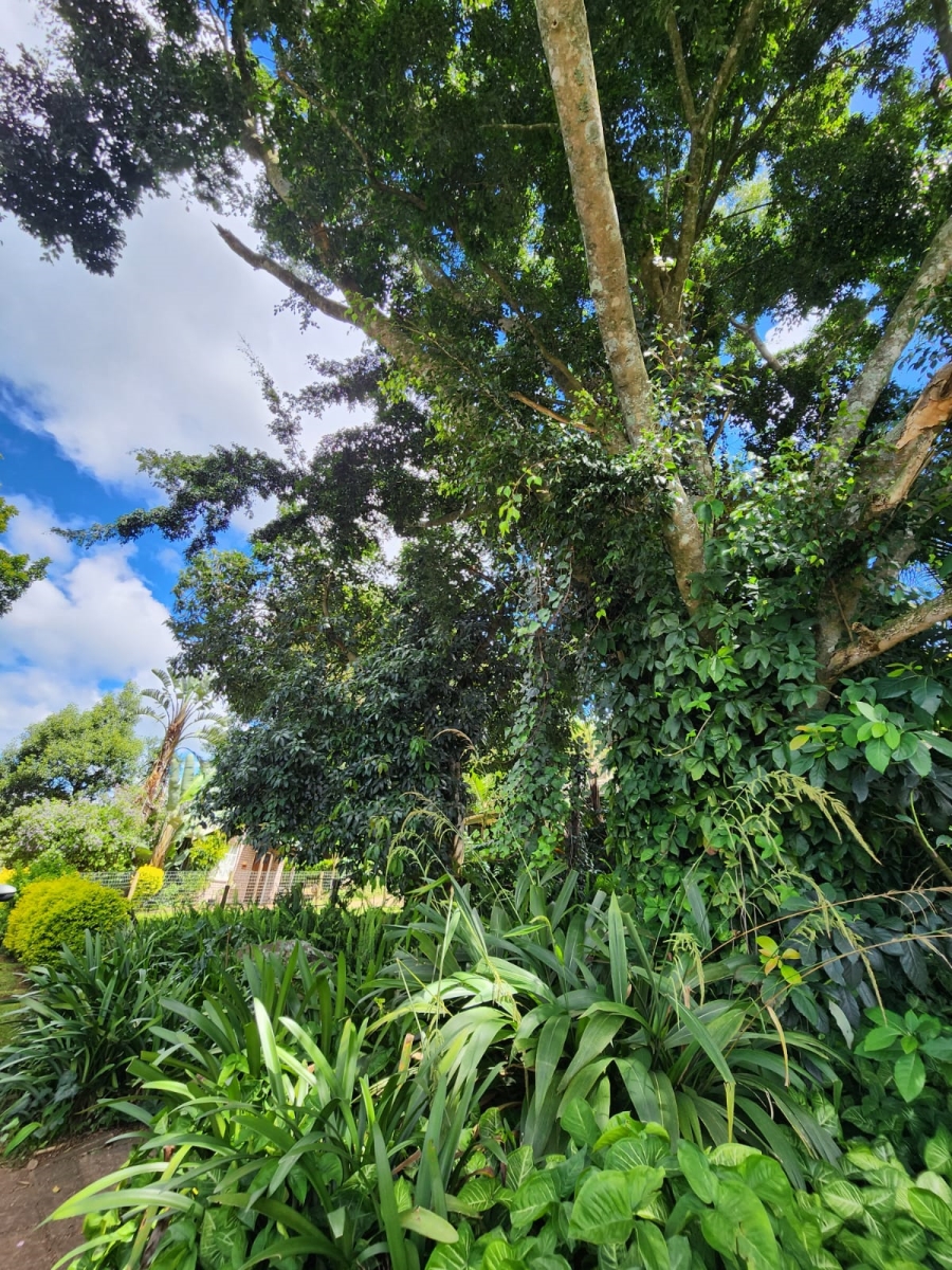 To Let 1 Bedroom Property for Rent in Summerveld KwaZulu-Natal