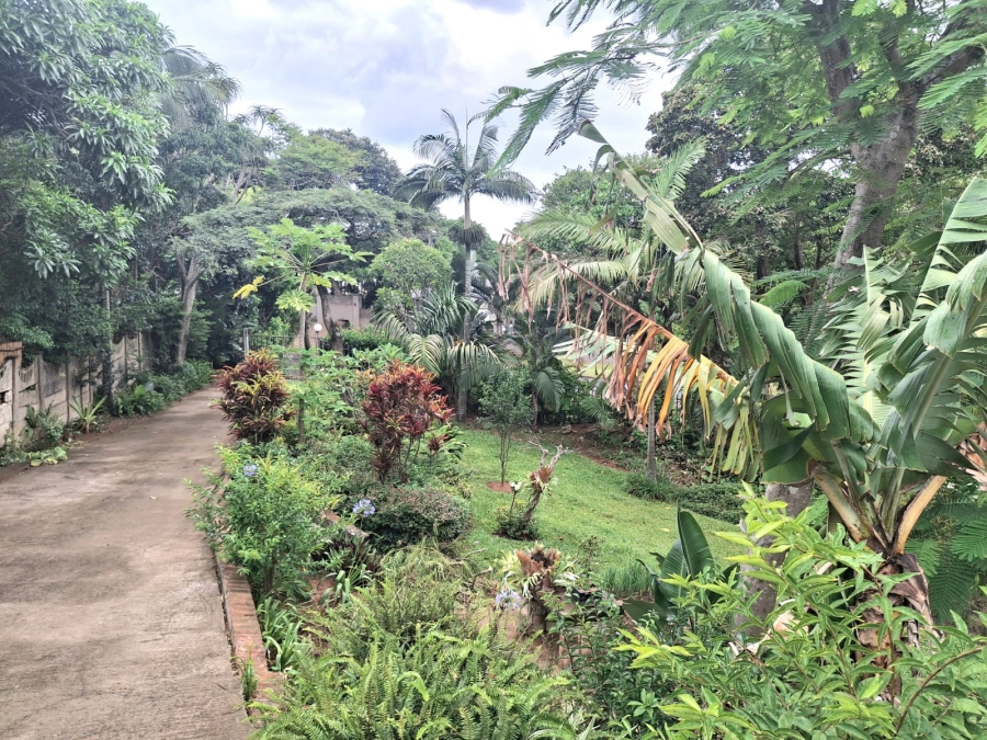 To Let 4 Bedroom Property for Rent in Ballito Central KwaZulu-Natal