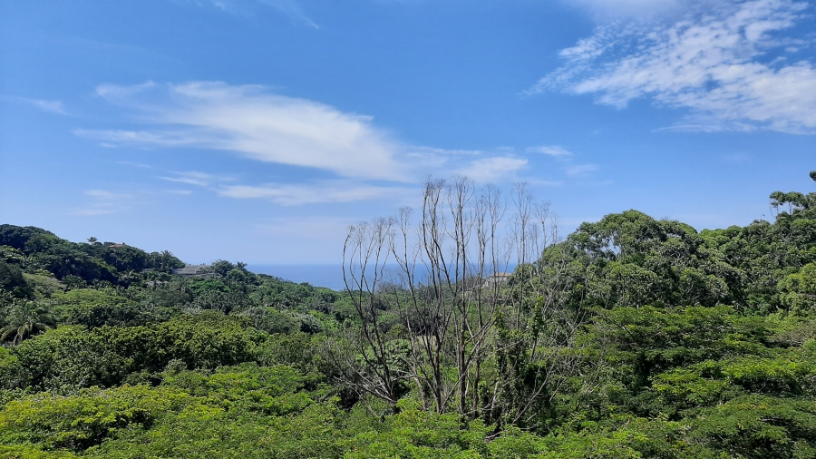 4 Bedroom Property for Sale in New Salt Rock City KwaZulu-Natal