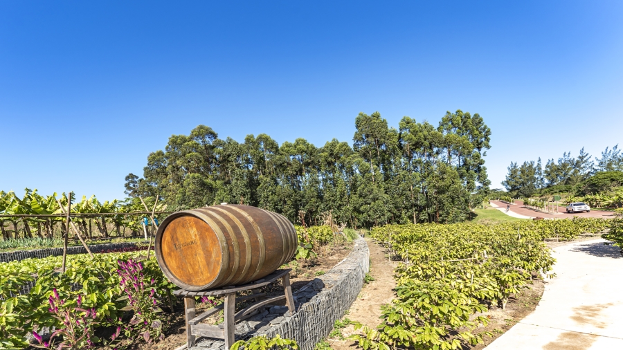 2 Bedroom Property for Sale in Sheffield Beach KwaZulu-Natal