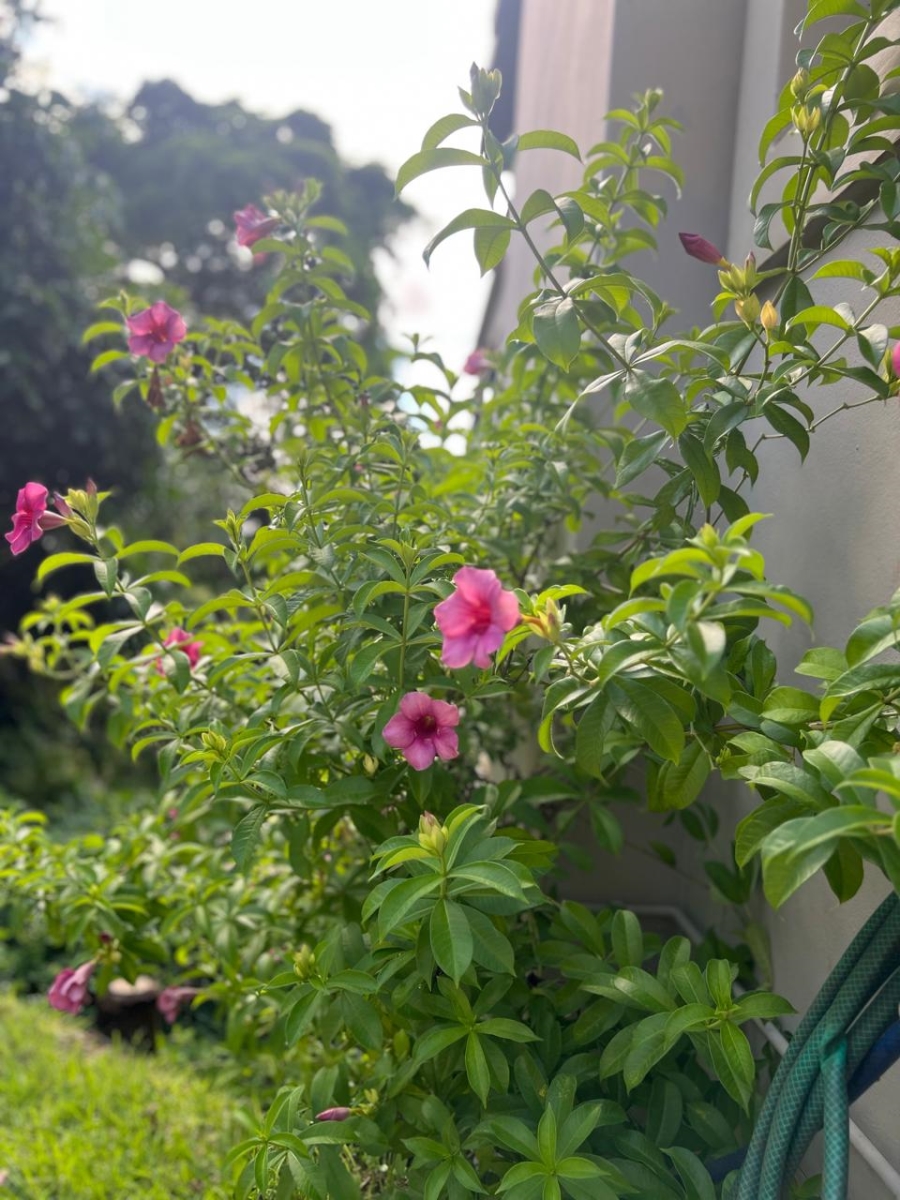 3 Bedroom Property for Sale in Zini River Estate KwaZulu-Natal