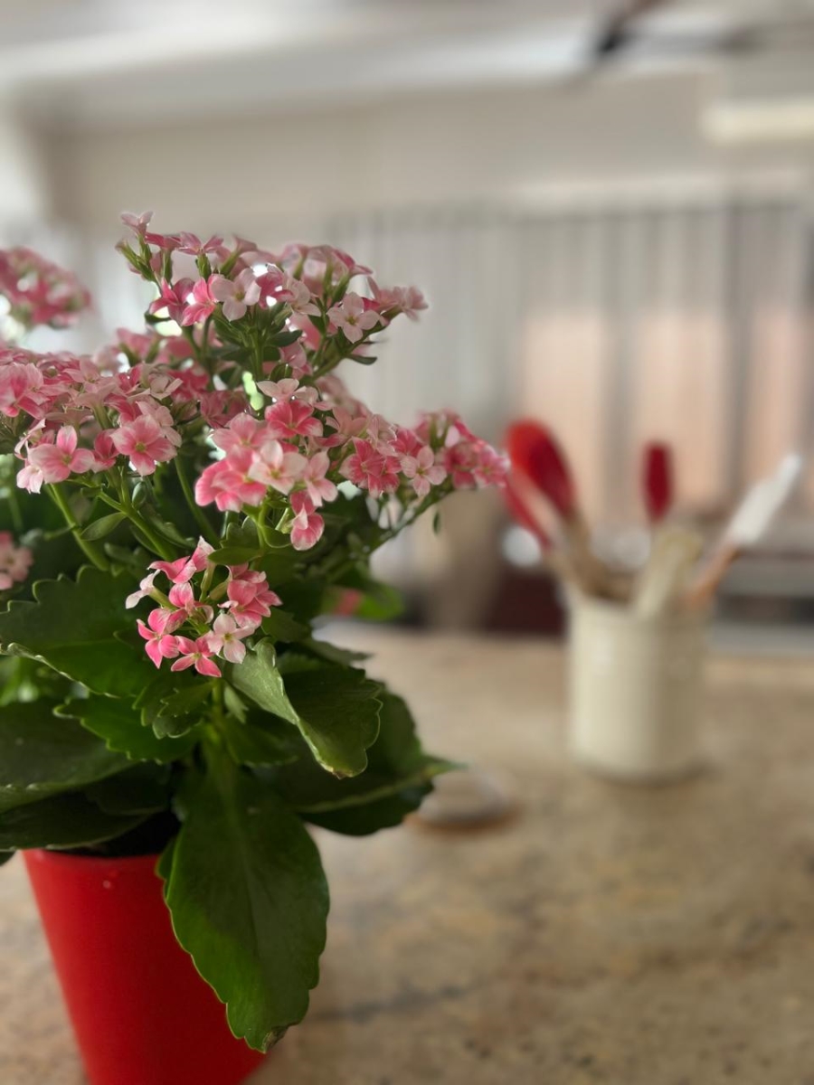 3 Bedroom Property for Sale in Zini River Estate KwaZulu-Natal