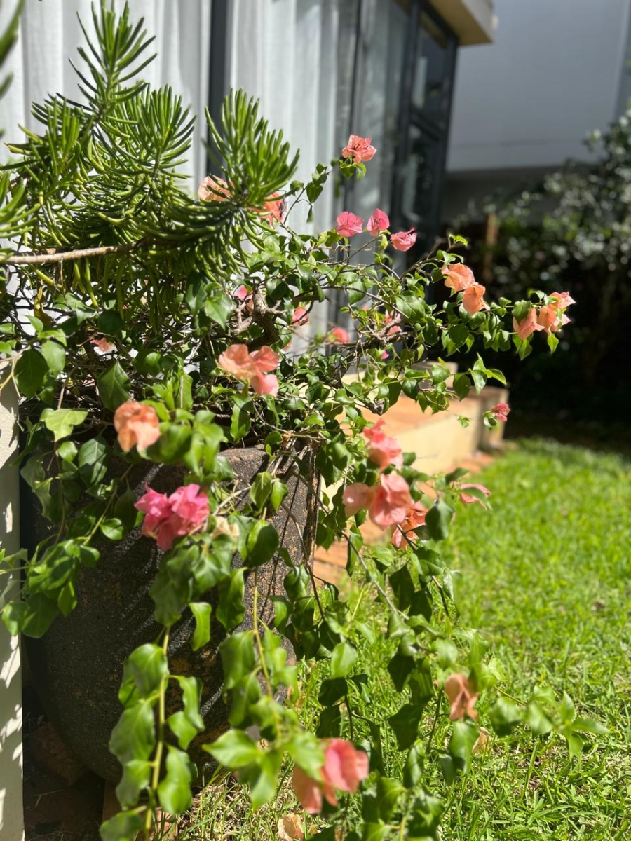 3 Bedroom Property for Sale in Zini River Estate KwaZulu-Natal