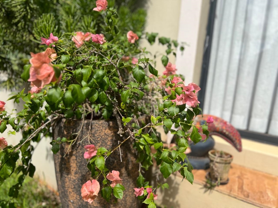 3 Bedroom Property for Sale in Zini River Estate KwaZulu-Natal