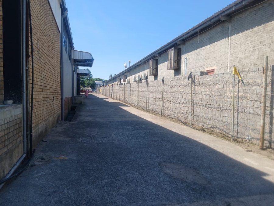To Let commercial Property for Rent in Gingindlovu KwaZulu-Natal