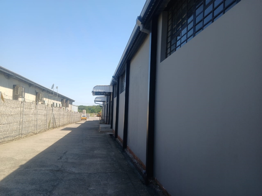To Let commercial Property for Rent in Gingindlovu KwaZulu-Natal