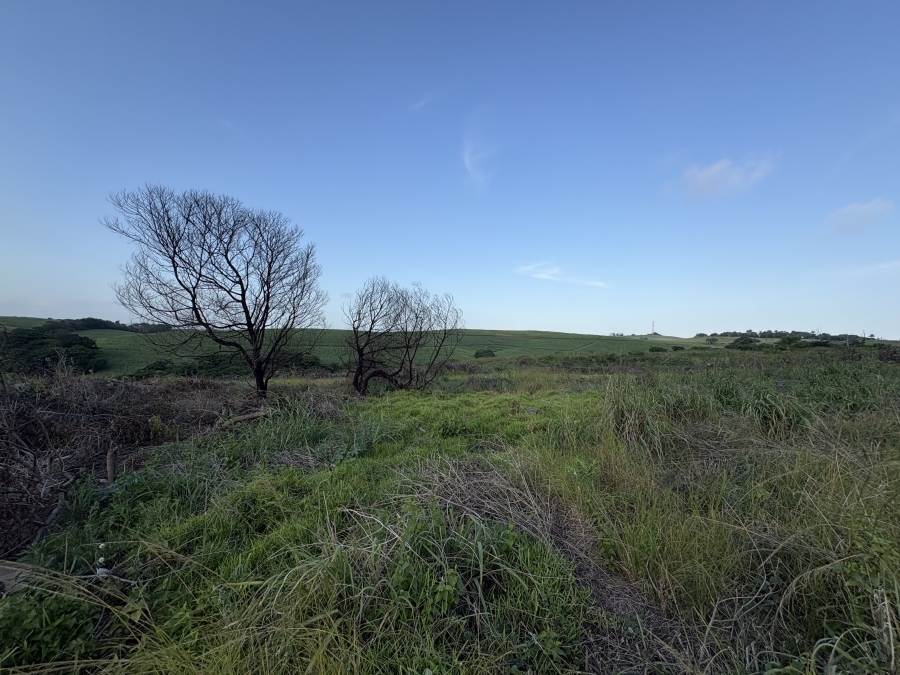 0 Bedroom Property for Sale in Palm Lakes Estate KwaZulu-Natal